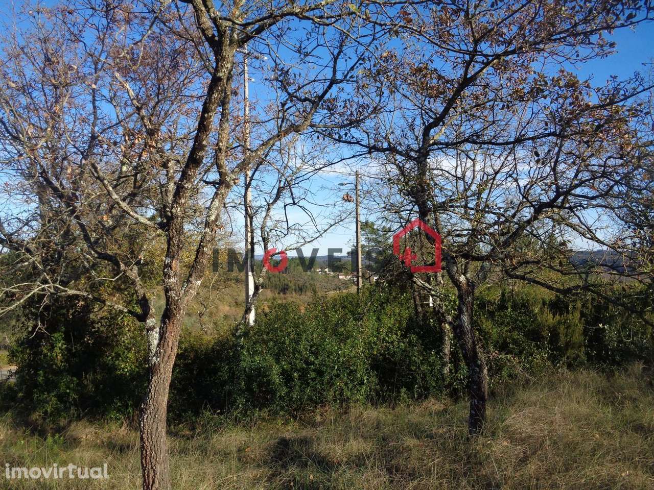 Lote Terreno - Grande imagem: 3/4