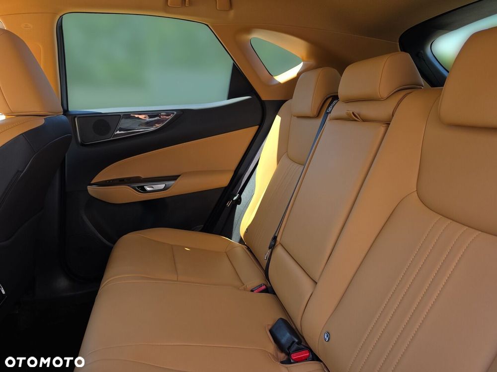 Lexus NX - 15