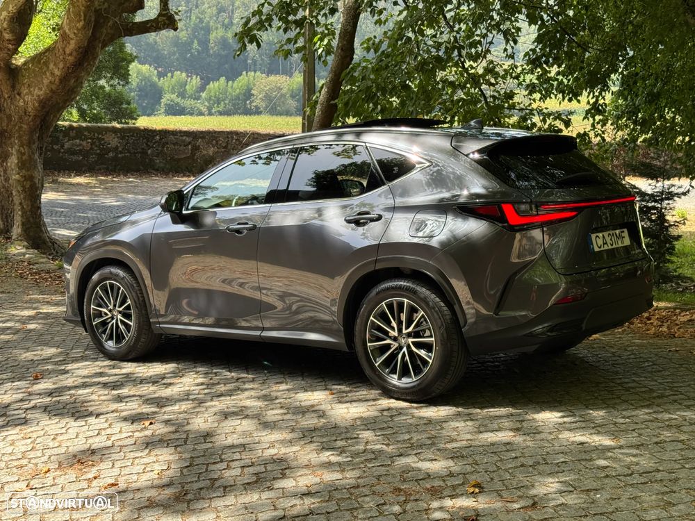 Lexus NX 450h+ Premium - 8