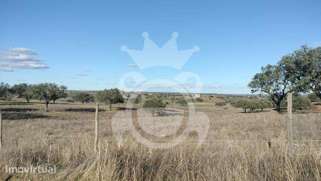Terreno 6,2 ha - Grande imagem: 2/15