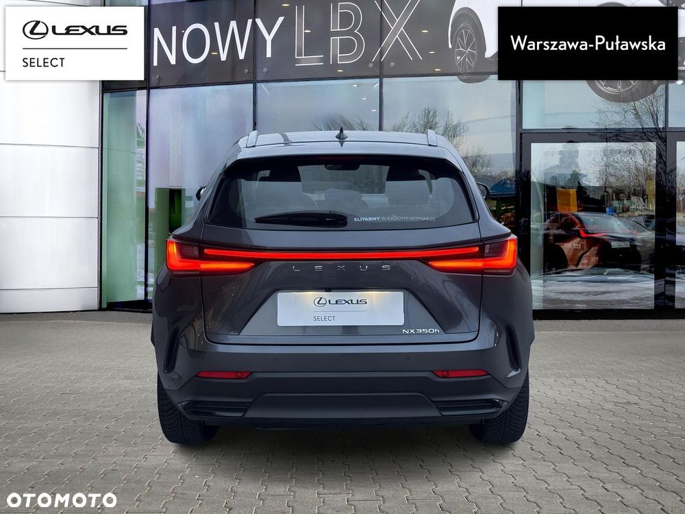 Lexus NX 350h Business AWD - 7