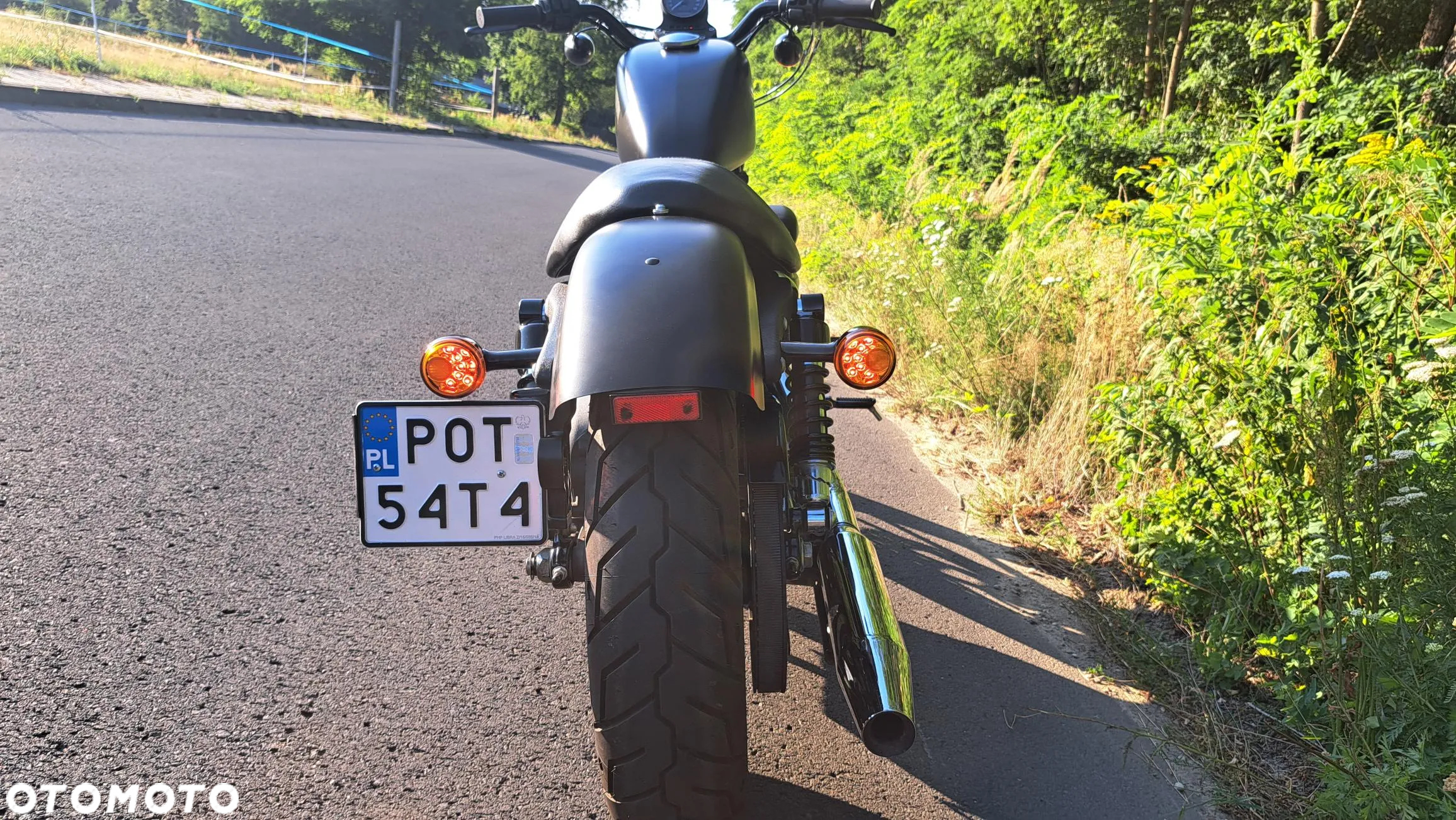 Harley-Davidson Sportster Iron 883 - 13