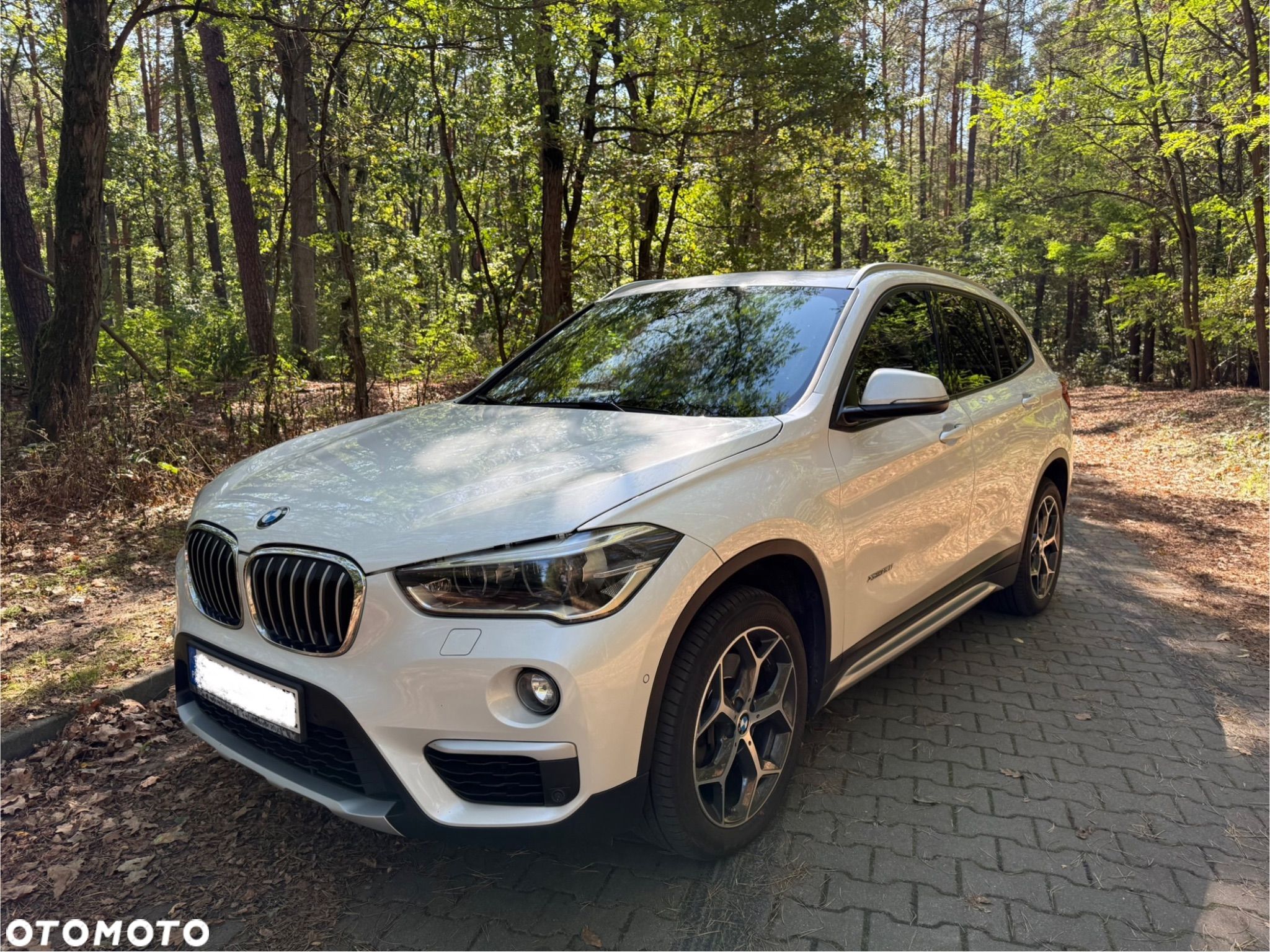 BMW X1 xDrive20i xLine - 1