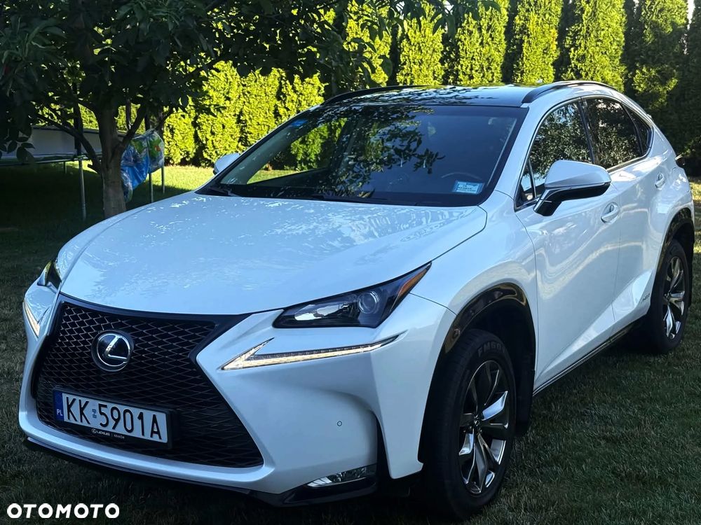 Lexus NX 300h F Impression AWD - 2