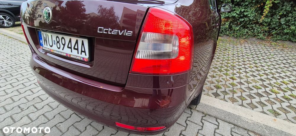 Skoda Octavia 1.9 TDI Mint - 18