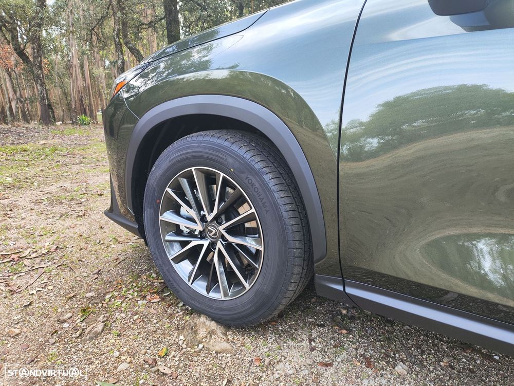 Lexus NX 450h+ - 20