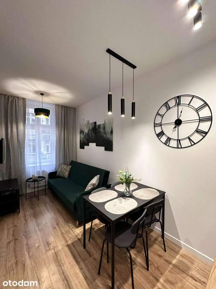 Nowoczesny apartament w centrum, Plebiscytowa
