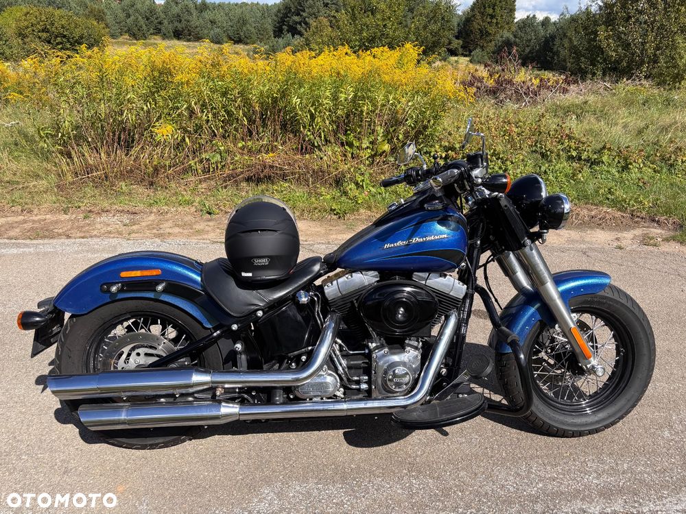 Harley-Davidson Softail - 5