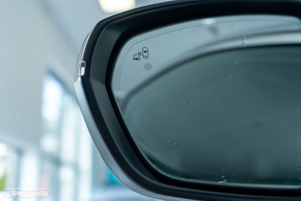 DS DS7 Crossback E-Tense Rivoli EAT8 - 15