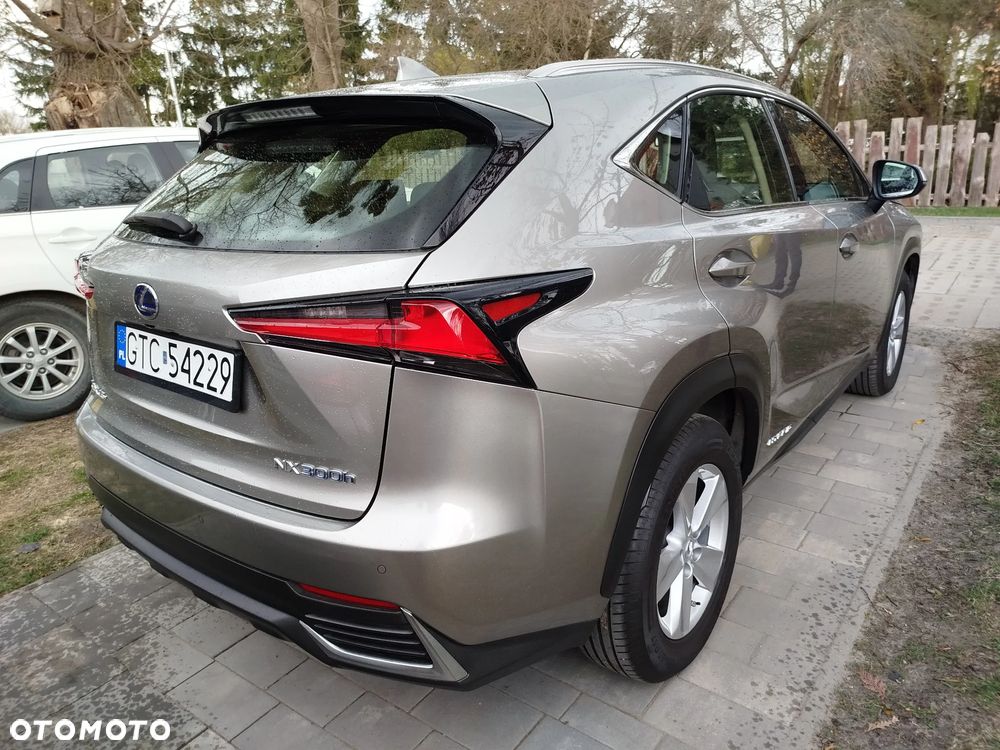 Lexus NX 300h Elegance 2WD - 6