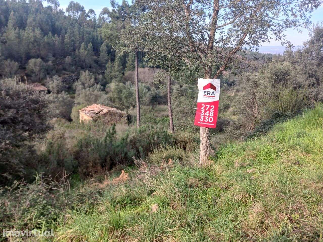 Terreno - Grande imagem: 4/6