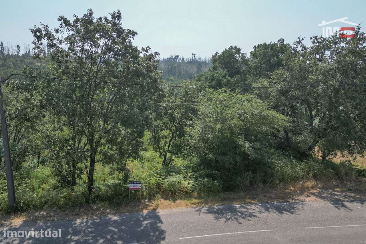 Terreno com 18.600 m2 no Olival - Grande imagem: 4/15