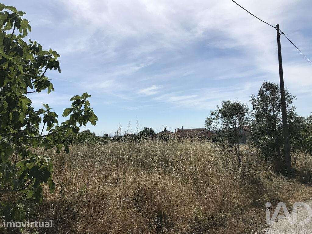 Terreno para construção em Colmeias e Memória - Grande imagem: 3/21
