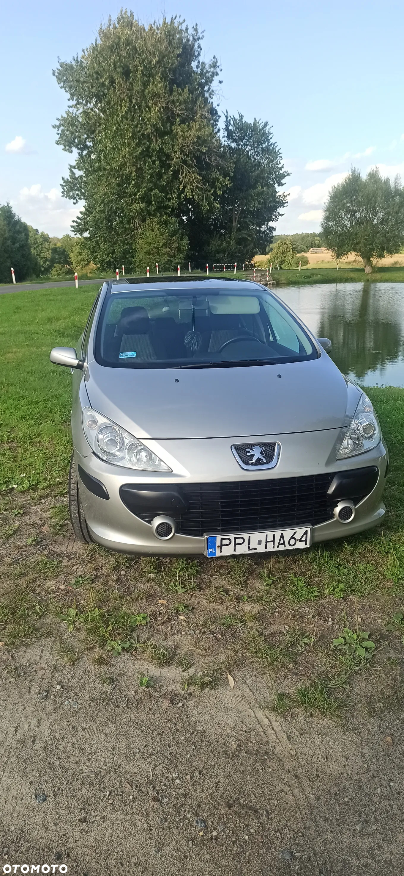 Peugeot 307 - 2