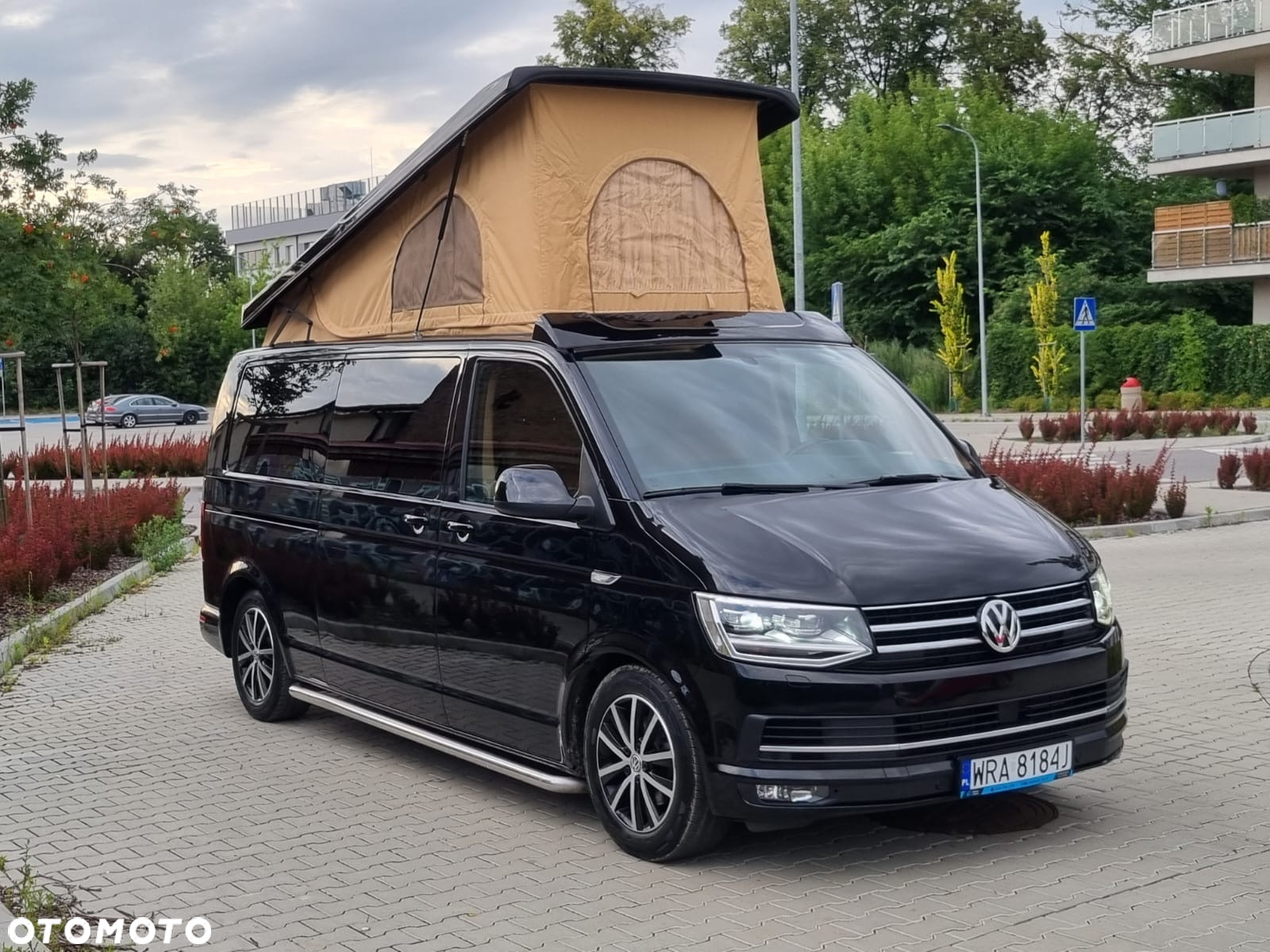 Volkswagen T6 transporter - 2