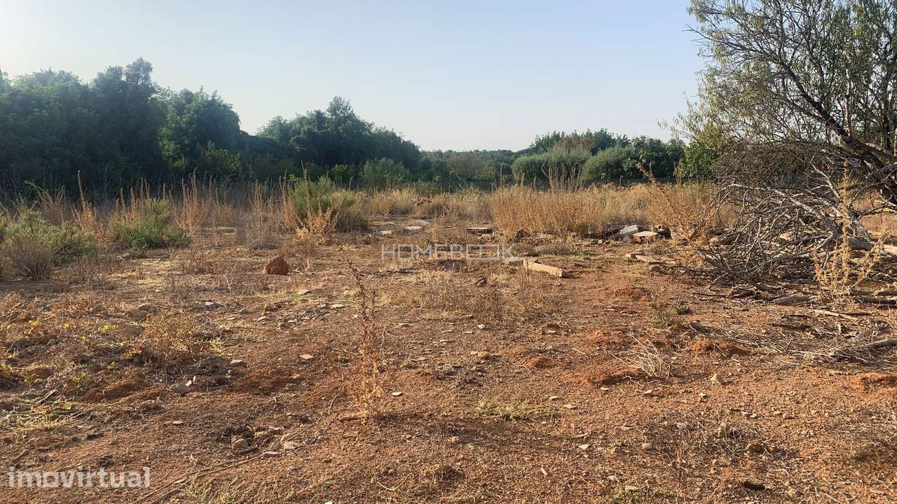 Terreno Agricola c/ 5580m2 - Grande imagem: 4/8