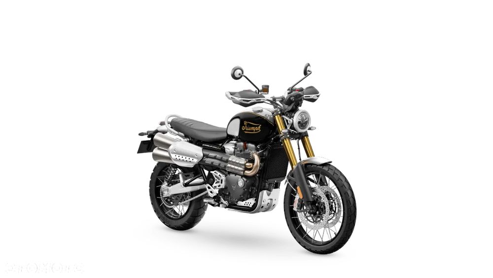 Triumph Scrambler - 19