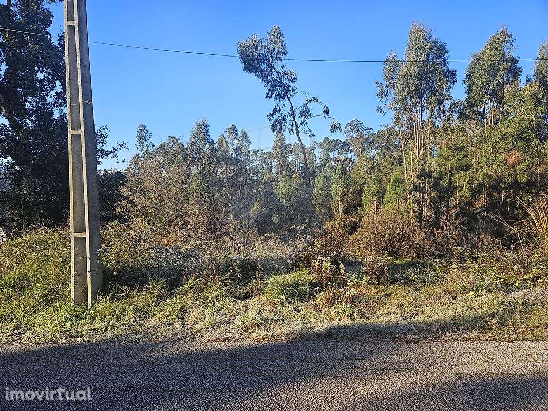 Terreno  para venda - Grande imagem: 5/18