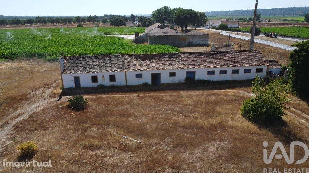 Quinta T3 em Couço de 299,00 m2 - Grande imagem: 2/18