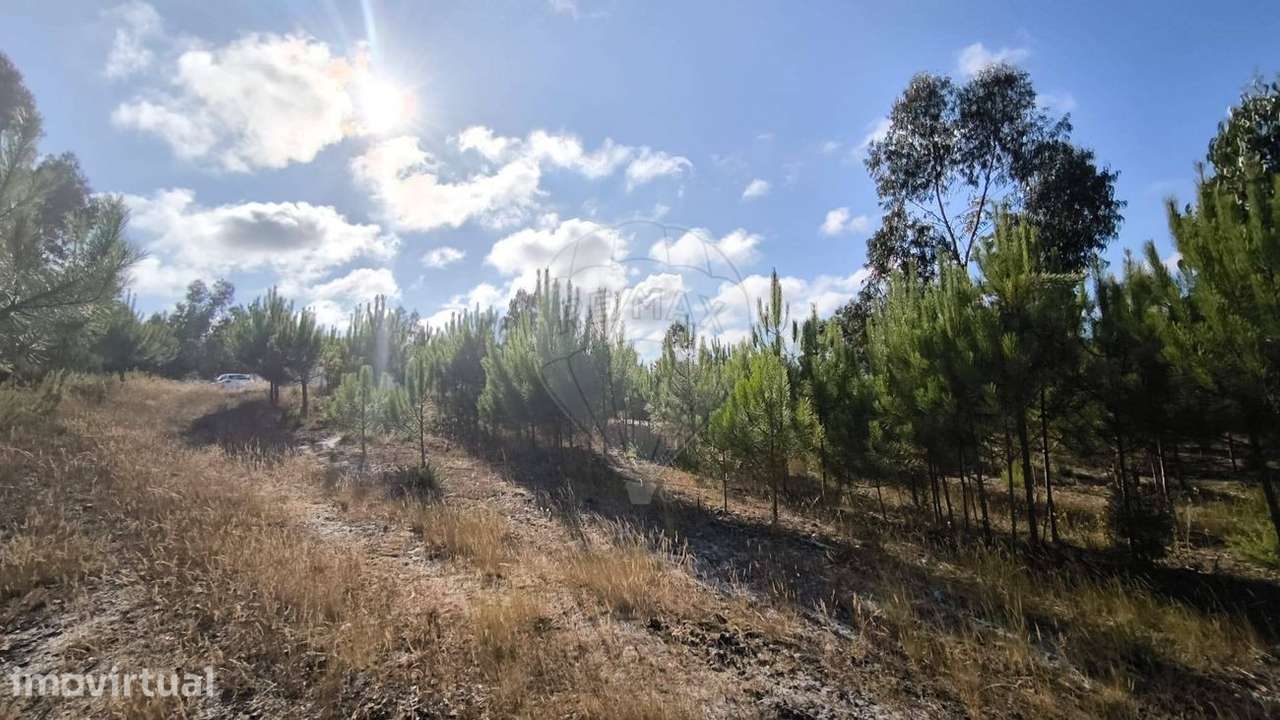 Terreno  para venda - Grande imagem: 2/14