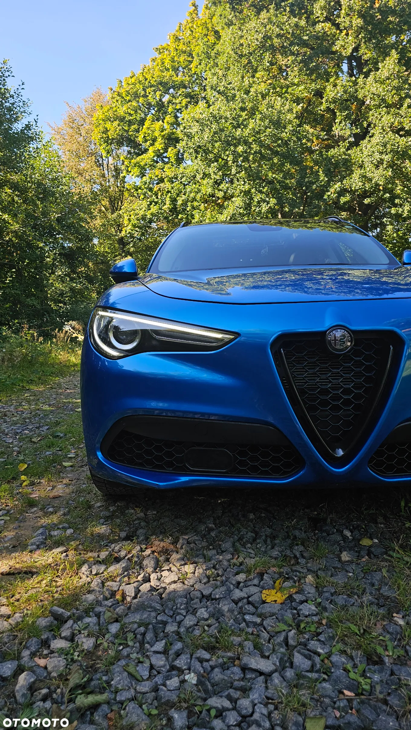 Alfa Romeo Stelvio - 21