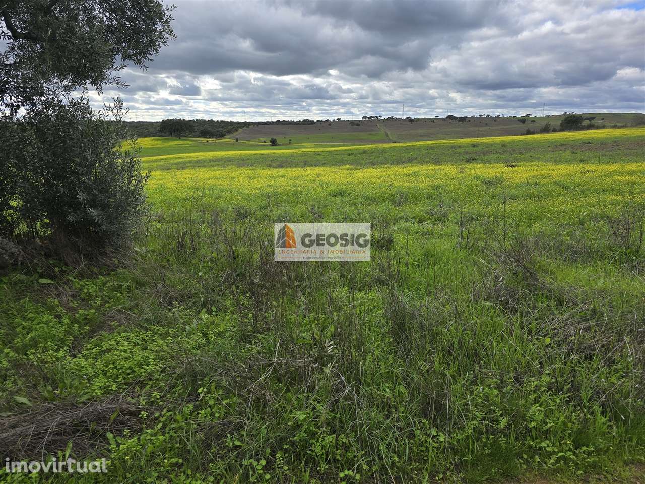 Terreno Rústico  Venda em Castro Verde e Casével,Castro Verde - Grande imagem: 3/15