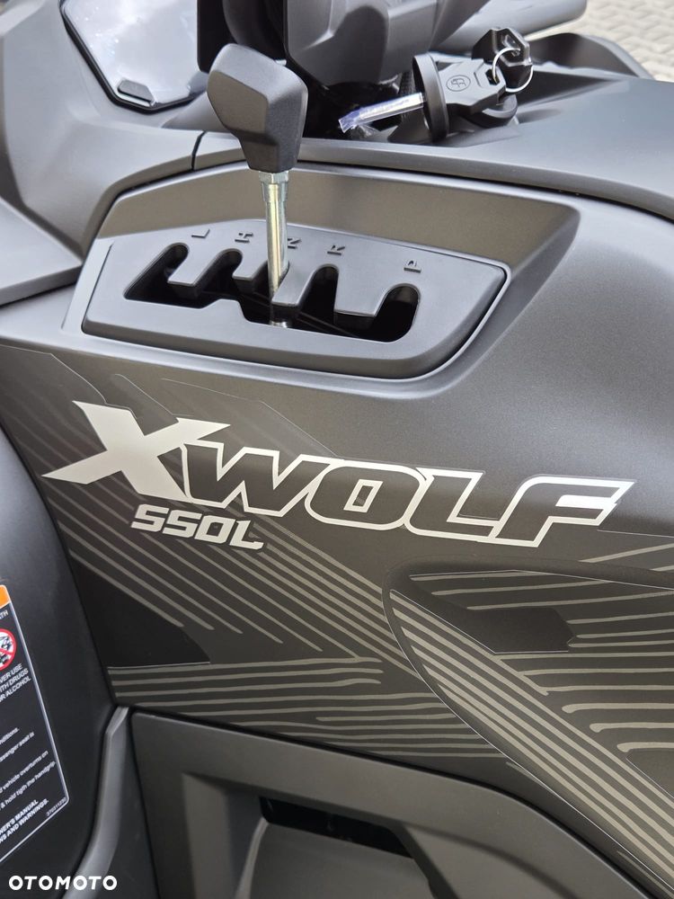 Loncin XWOLF 550 - 10