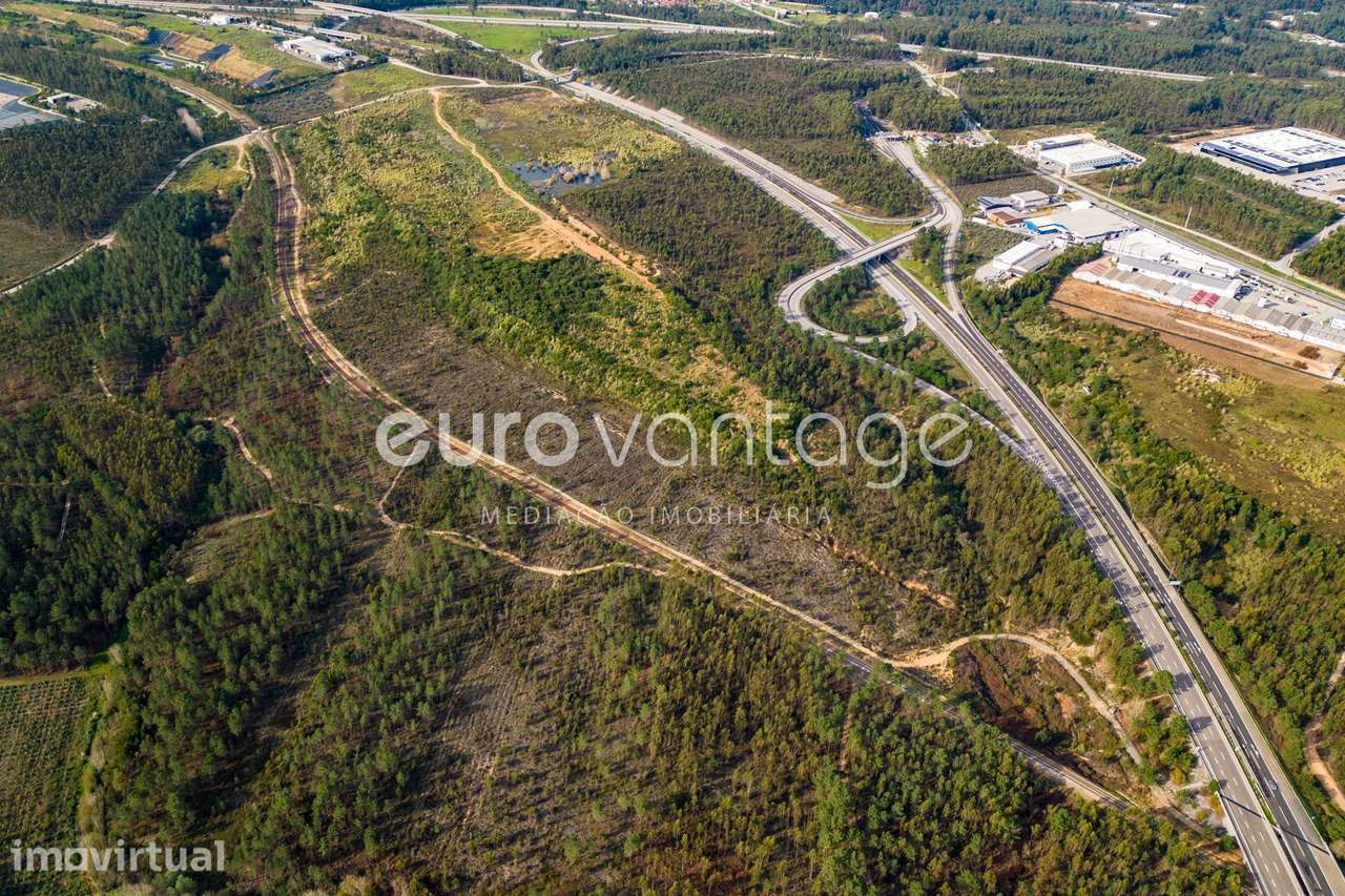 TERRENO DESTINADO A INDUSTRIA - BAROSA - LEIRIA - Grande imagem: 3/25