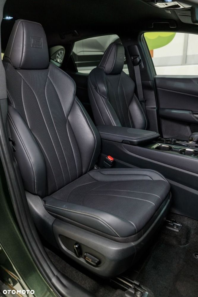 Lexus NX 350h F Sport AWD - 19