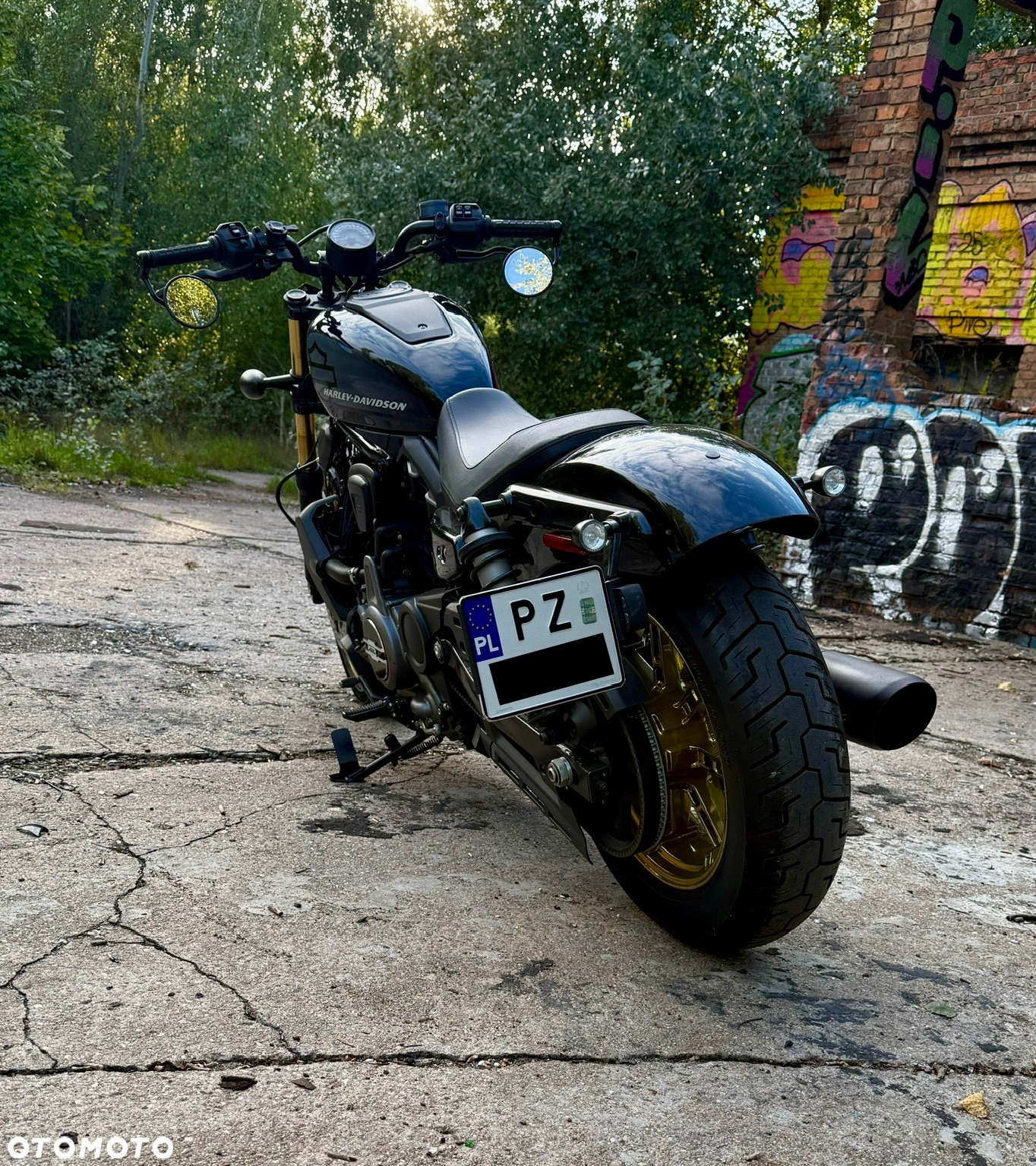 Harley-Davidson Sportster Nightster 975 - 6