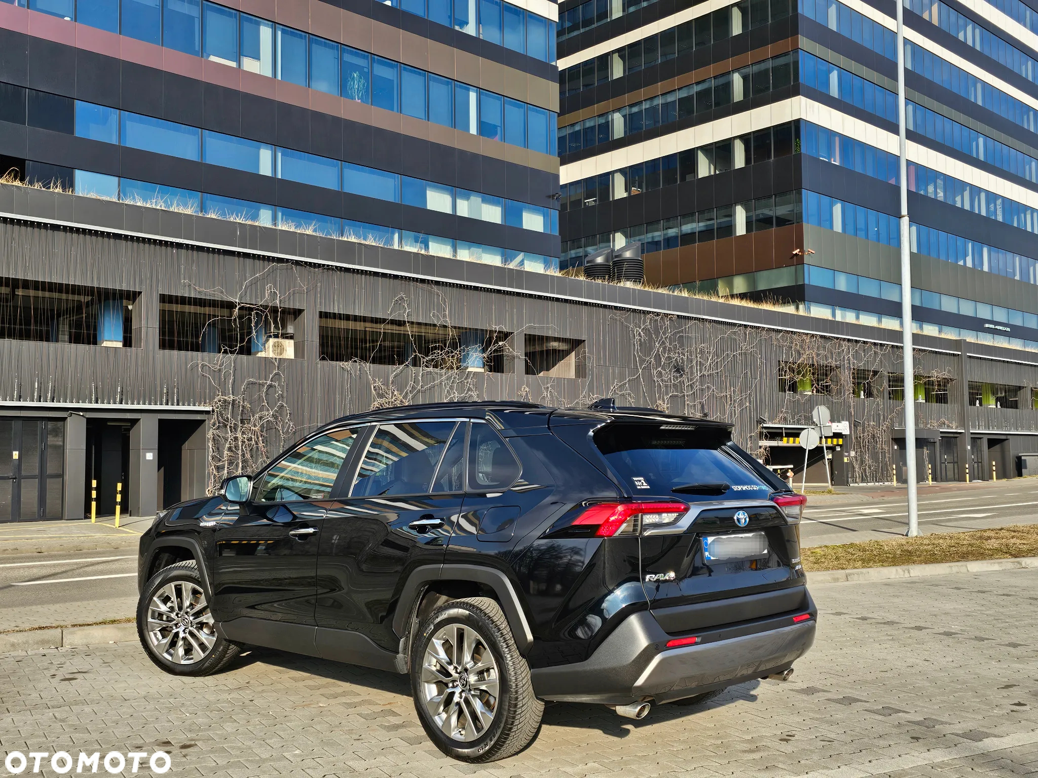 Toyota RAV4 2.5 Hybrid Executive 4x4 - 5