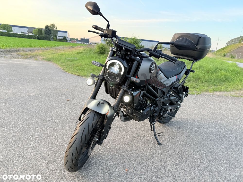 Benelli Leoncino - 1
