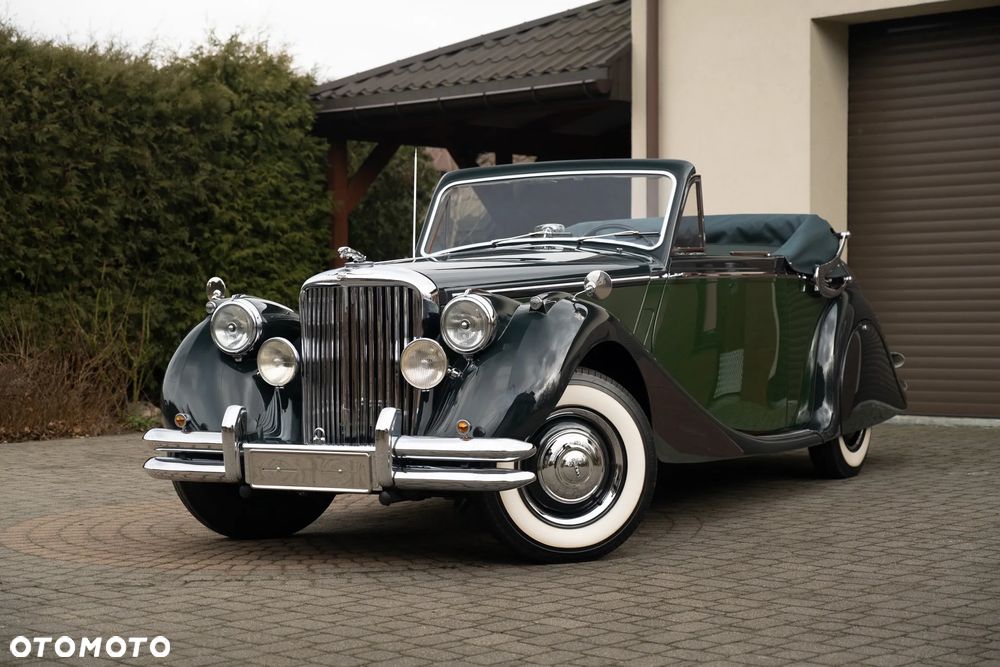 Jaguar Inny - 1