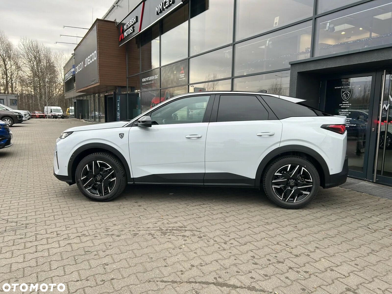 Peugeot 3008 - 2