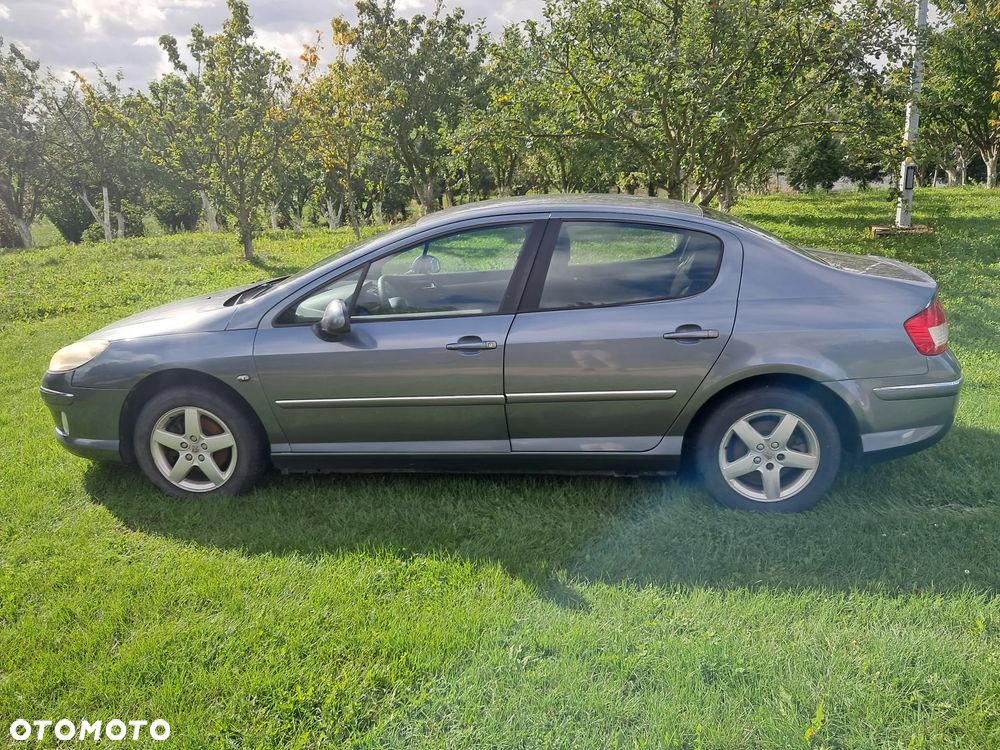 Peugeot 407 - 3