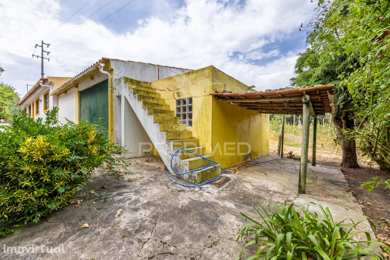 Quinta em Cela, Alcobaça, para comprar - Grande imagem: 5/39