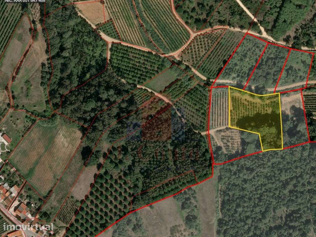 Terreno Rústico com 5.900 m² junto ao Rio Arnóia - Grande imagem: 3/19
