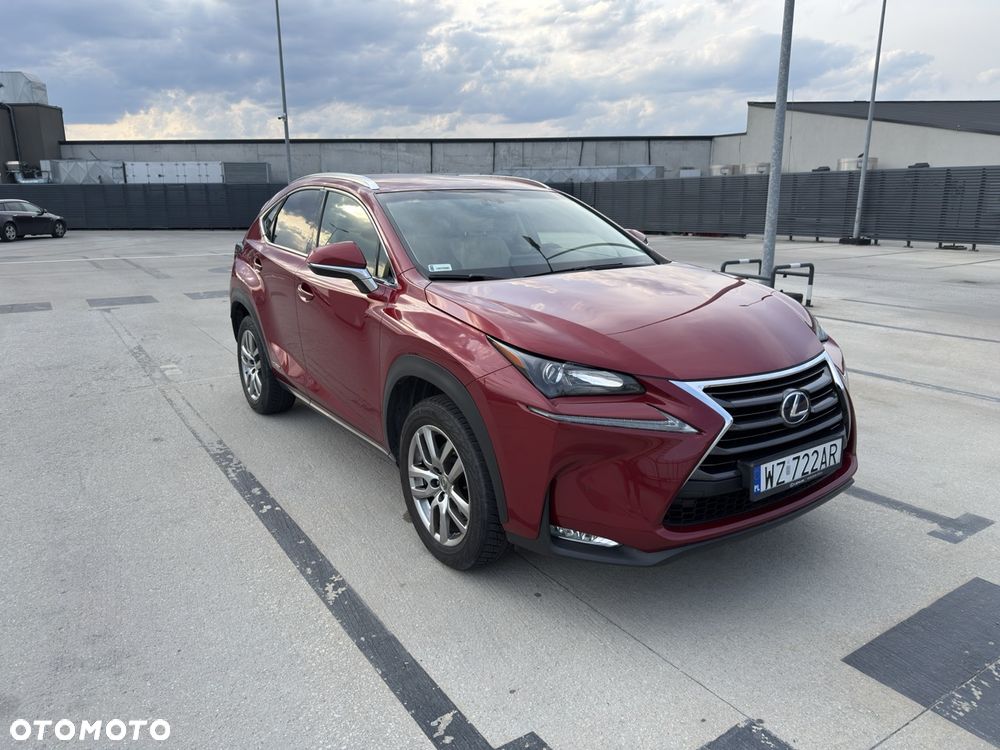 Lexus NX 300h Comfort AWD - 5