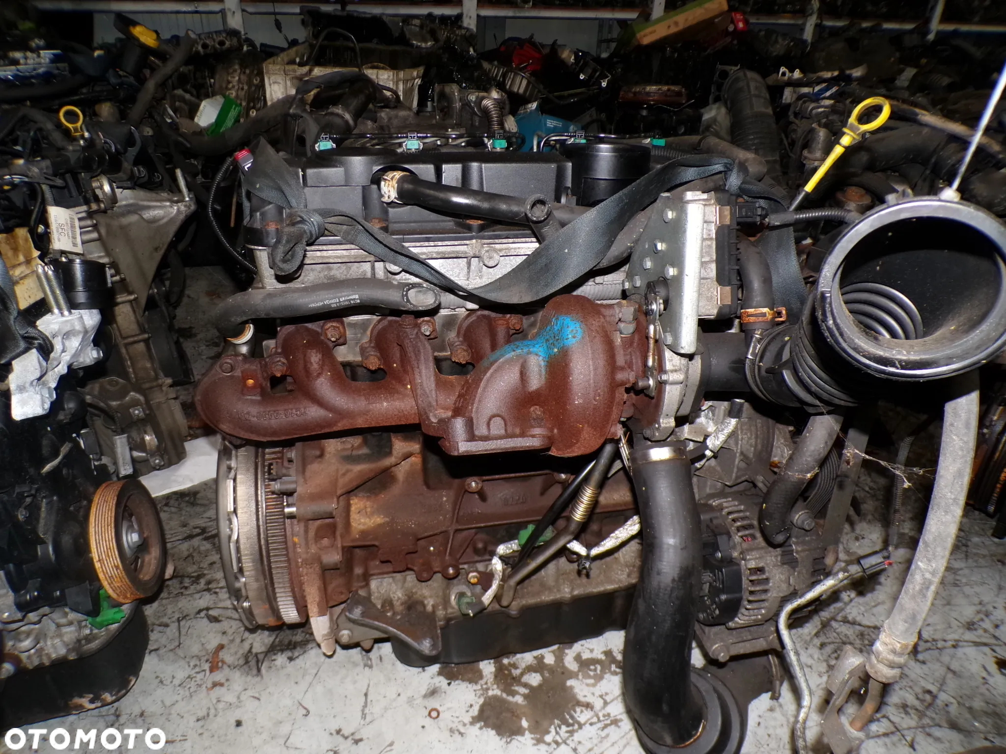 Kompletny silnik Ford Transi 3.2 TDCI 140tyś km Gwarancja - 3