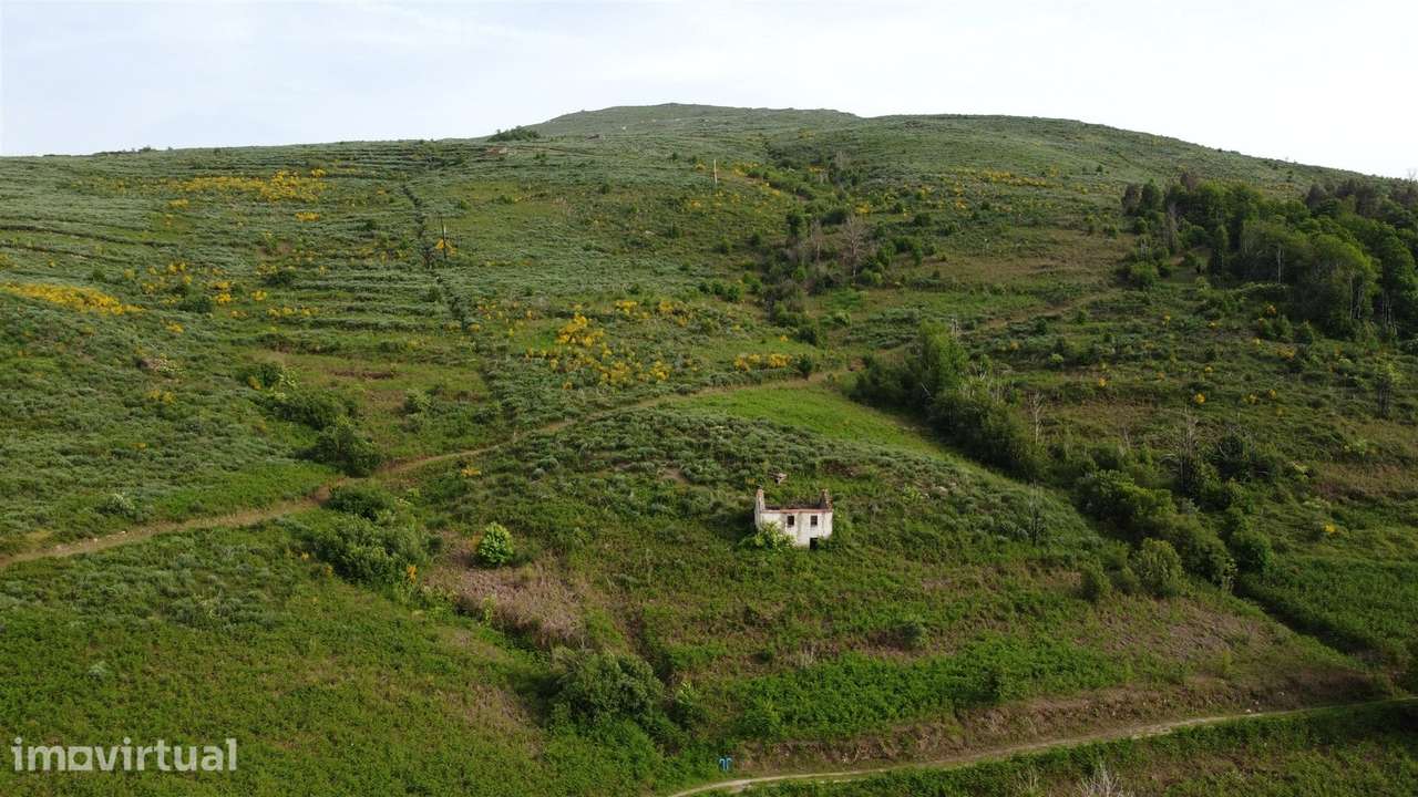 Quinta T0 Venda em Figueiró da Serra e Freixo da Serra,Gouveia - Grande imagem: 3/9