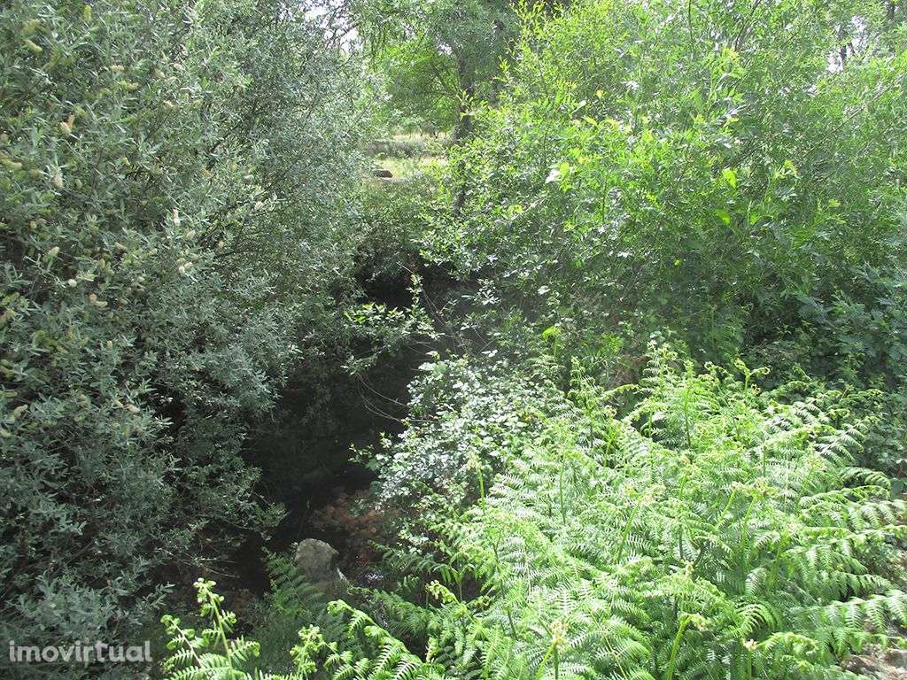 Quinta - Grande imagem: 2/10