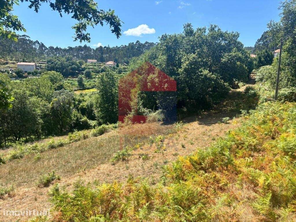 Terreno agrícola, Godinhaços - Grande imagem: 3/24