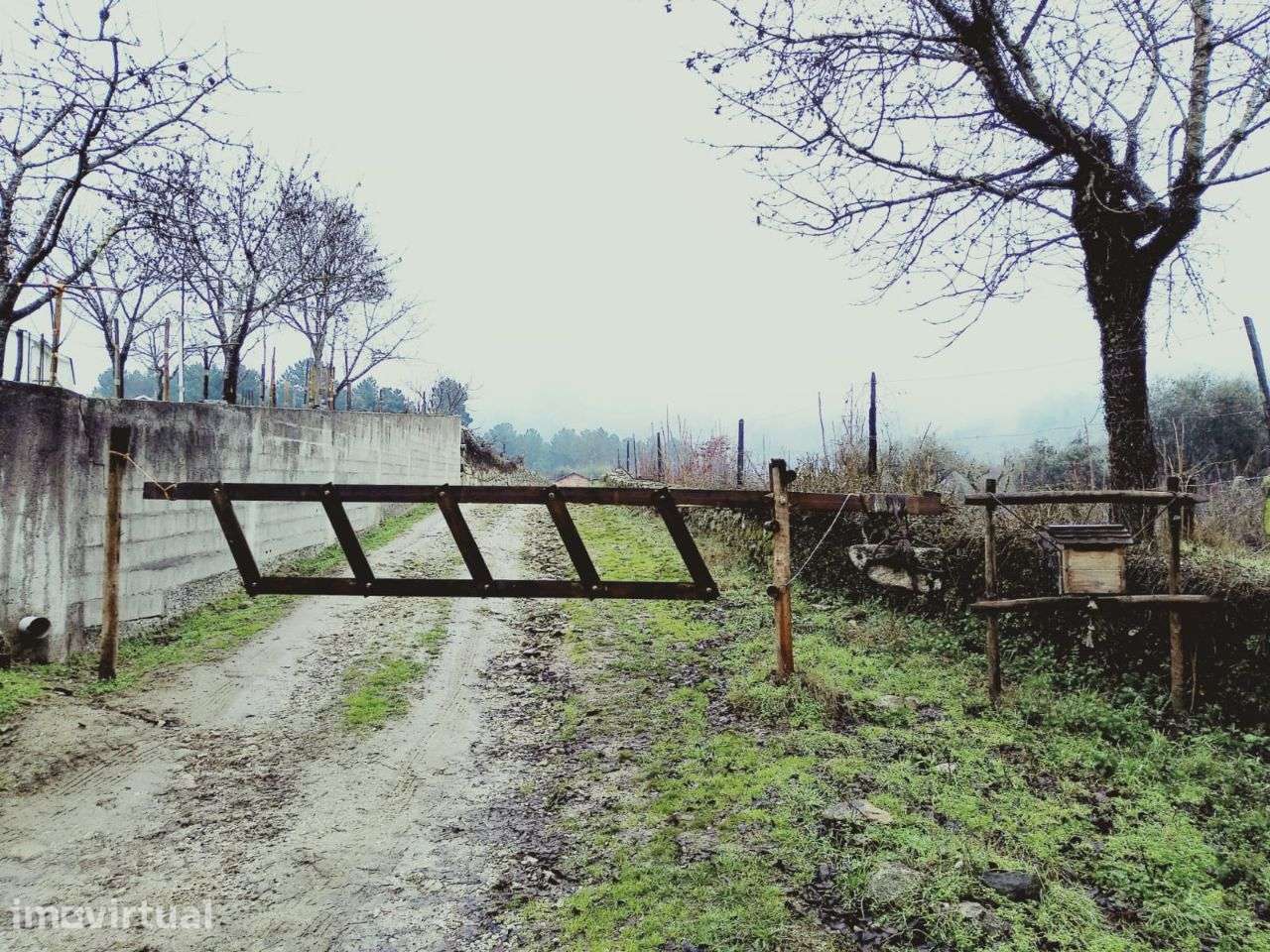Quinta da Ribeira - Chaves - Grande imagem: 4/19