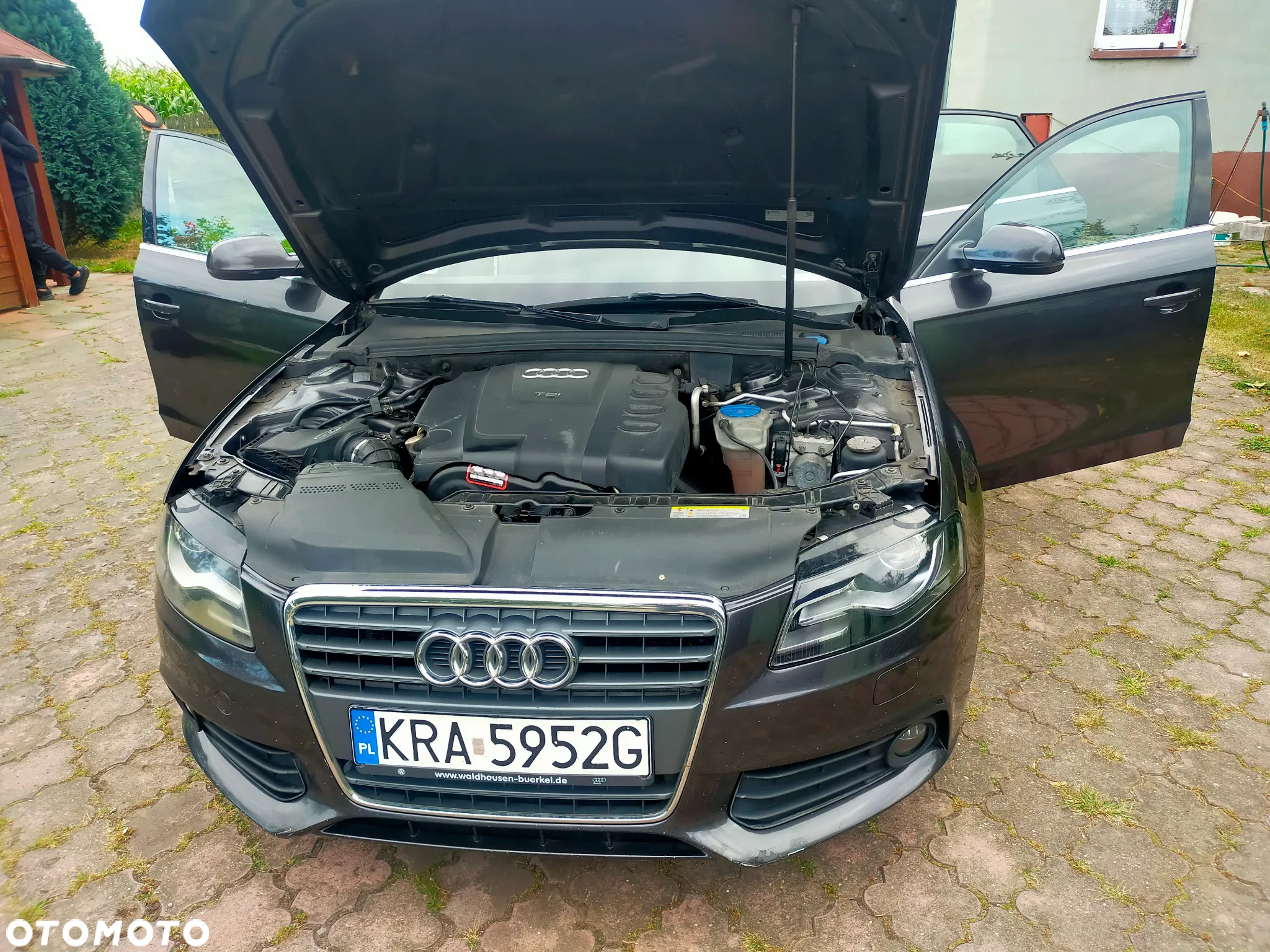 Audi A4 - 14