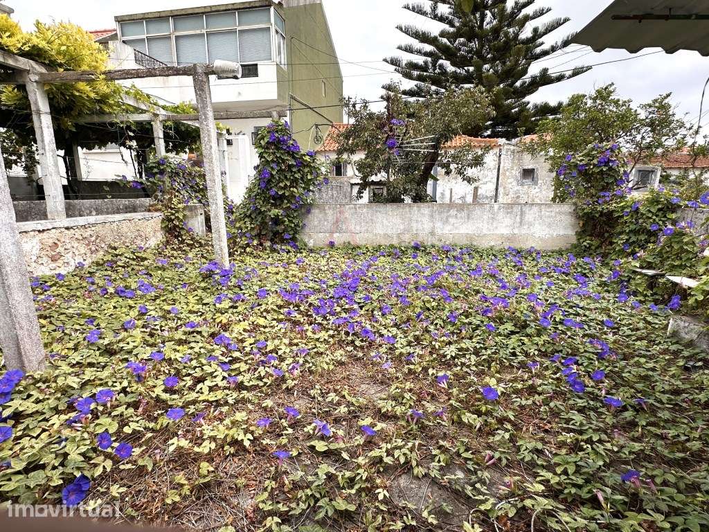 Casa Térrea - Grande imagem: 5/27