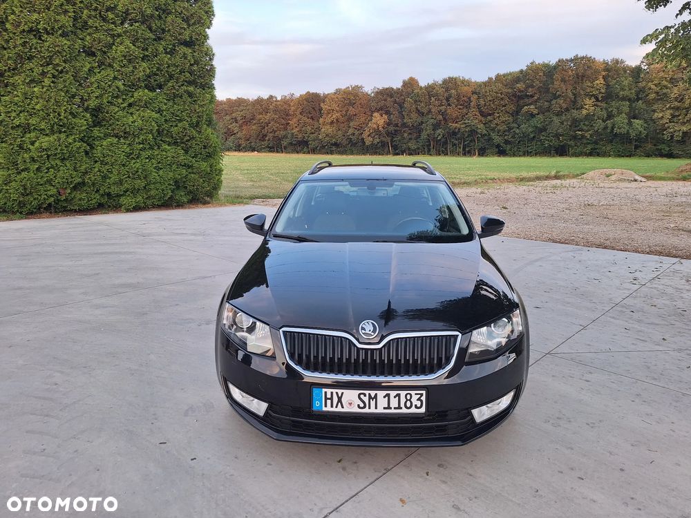 Skoda Octavia 1.6 TDI Ambition - 18