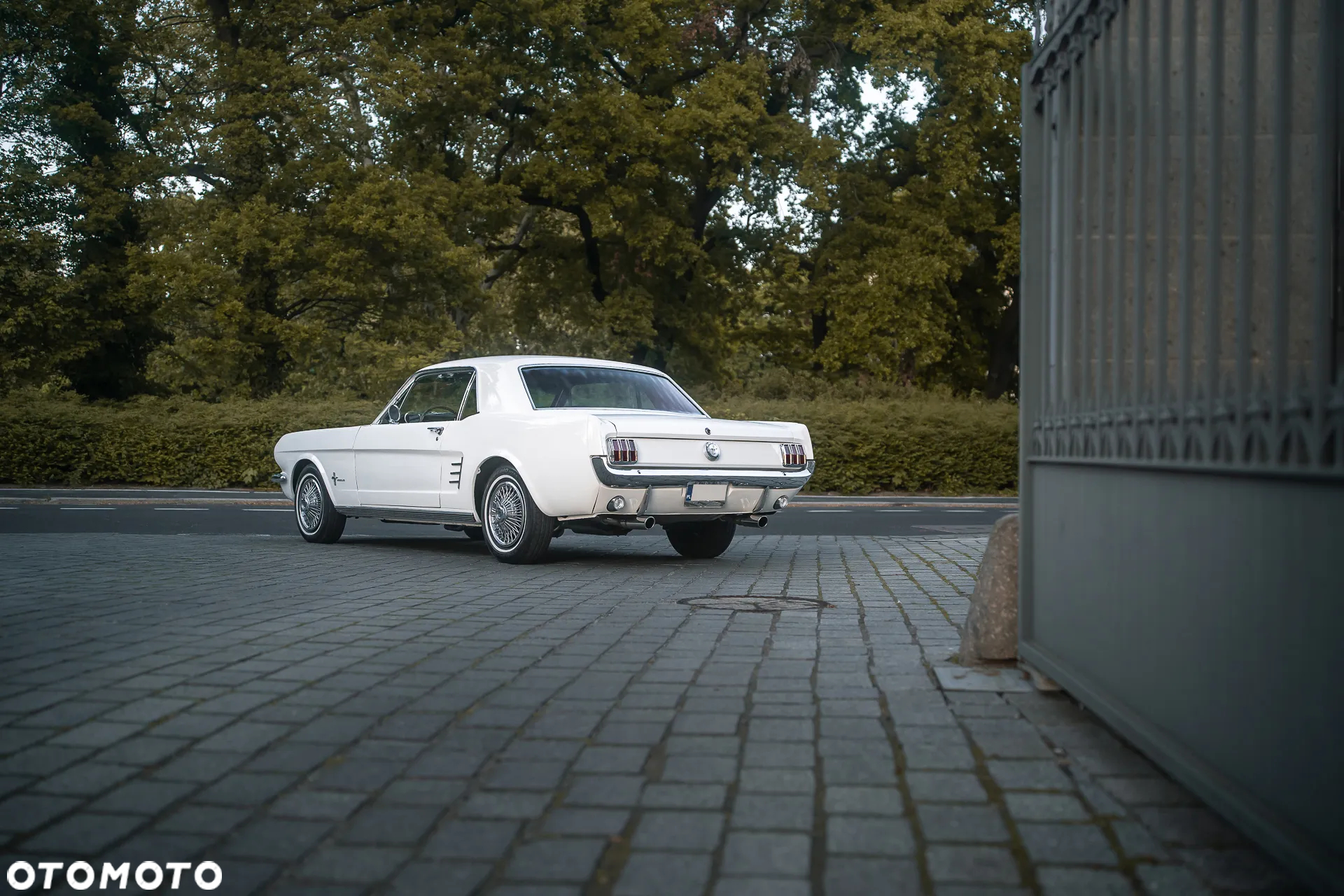 Ford Mustang - 5