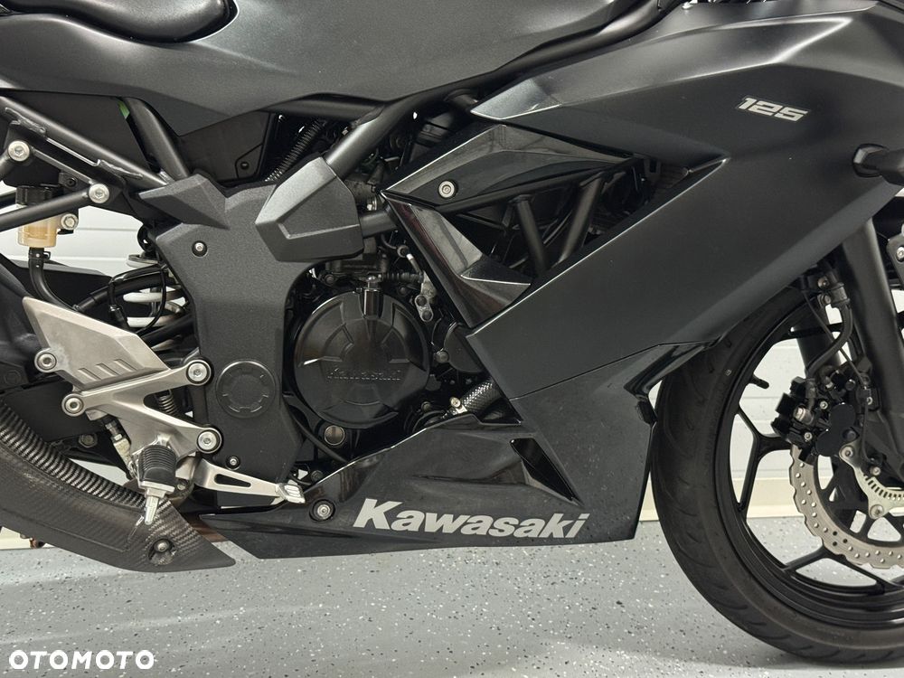 Kawasaki Ninja - 10