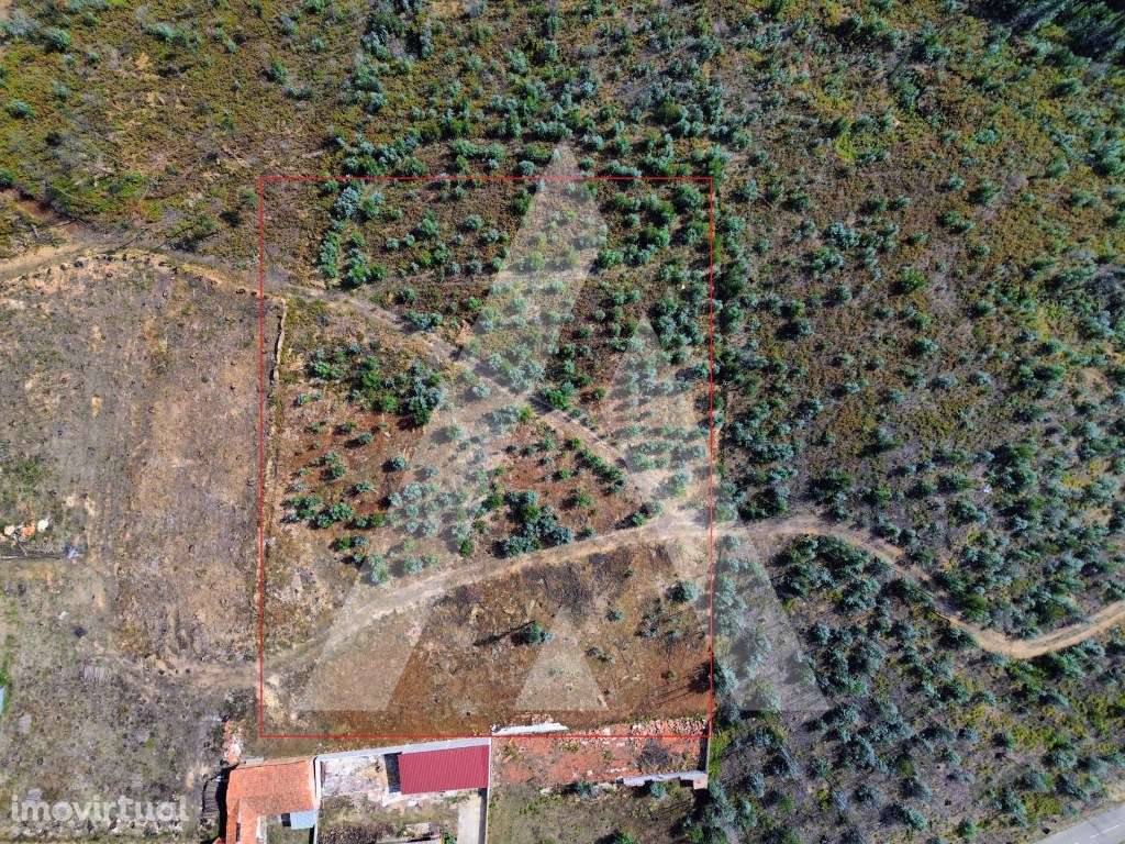 Terreno na Branca - Albergaria-a-Velha - Grande imagem: 2/12