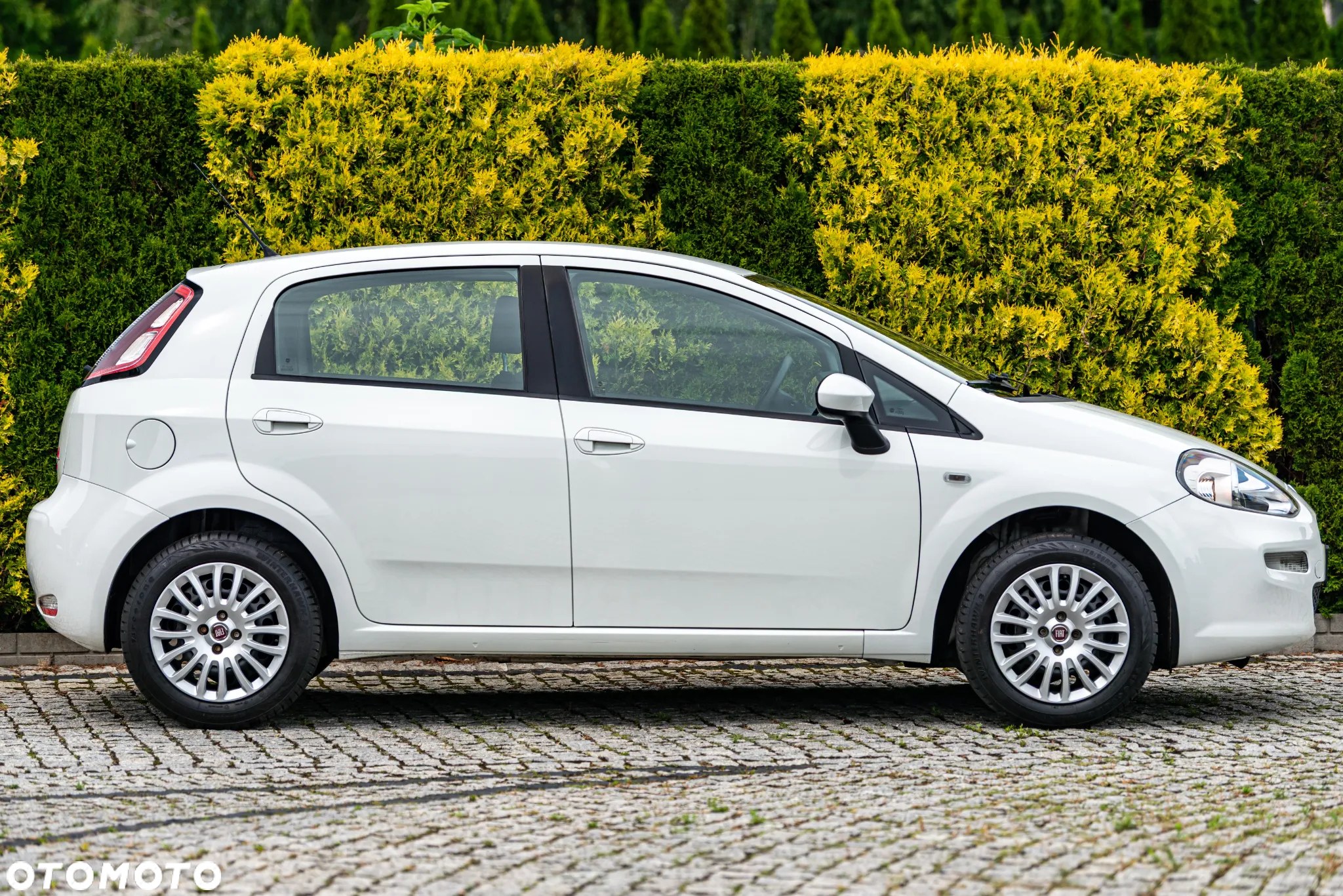 Fiat Punto 1.2 Fresh - 19